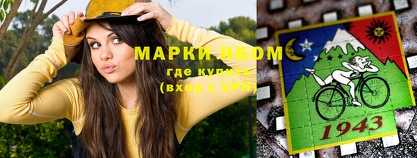 ГАЛЛЮЦИНОГЕННЫЕ ГРИБЫ Семёнов
