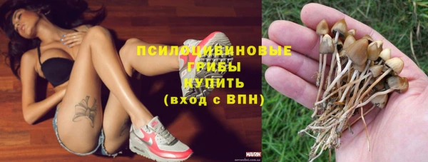 амф Горнозаводск