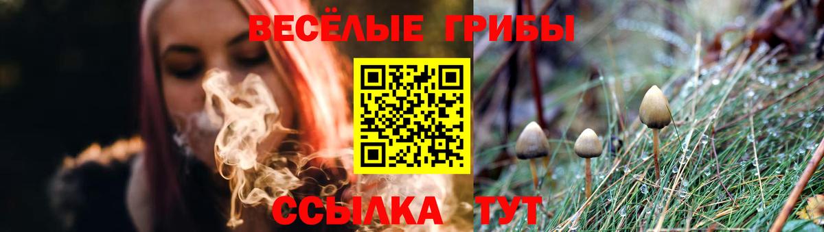 Галлюциногенные грибы GOLDEN TEACHER Джанкой